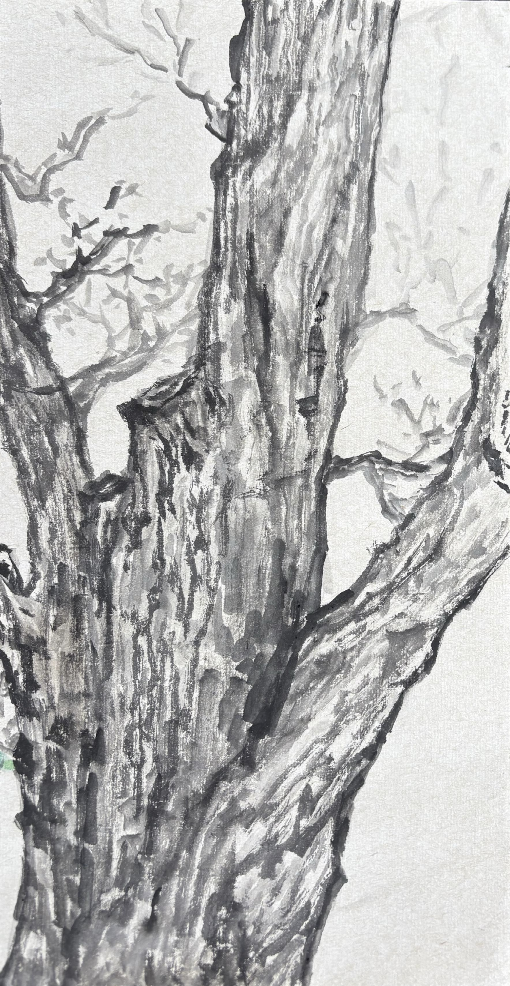 Resilient Growth